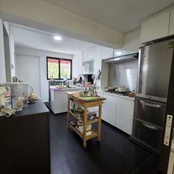 Blk 13 Holland Vista (Queenstown), HDB 3 Rooms #522707241